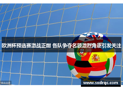 欧洲杯预选赛激战正酣 各队争夺名额激烈角逐引发关注
