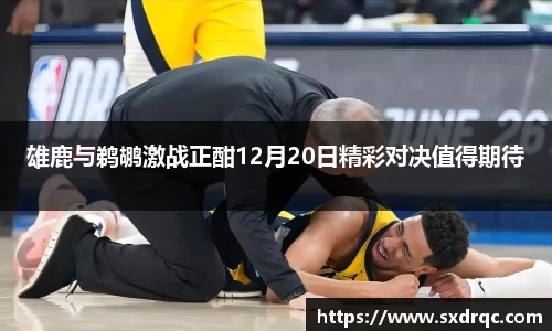 J9雄鹿与鹈鹕激战正酣12月20日精彩对决值得期待